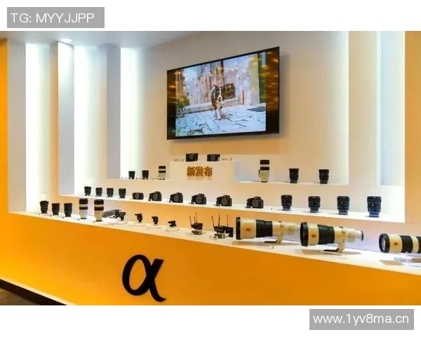 成都排球队球员个人能力深度对比与分析探讨 成都排球队球员个人能力深度对比与分析探讨