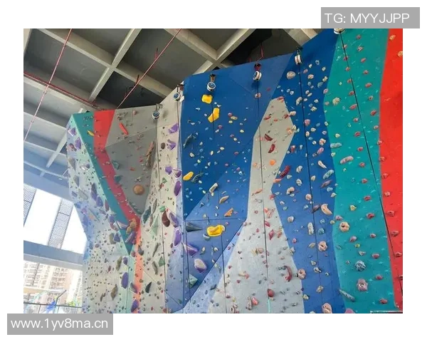 杭州攀岩队的控制技巧与深度探索攀岩运动的魅力与挑战 杭州攀岩队的控制技巧与深度探索攀岩运动的魅力与挑战